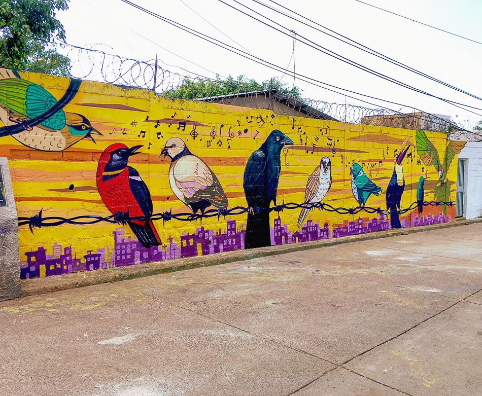 Colectivo Culturas Vivas, Plumas en cantos / Feathers in song, Tegucigalpa, Honduras, 2020